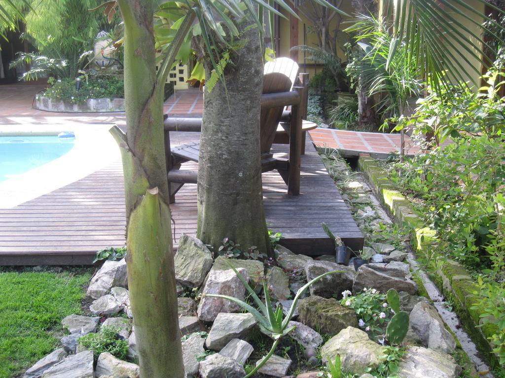Bed and Breakfast El Bambu Ciudad de la Costa Exterior foto